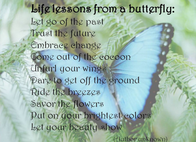 butterflylessons2.jpg