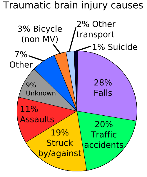 500px-TBI_causes_chart.svg.png