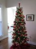 Christmas tree 2012 3.jpg