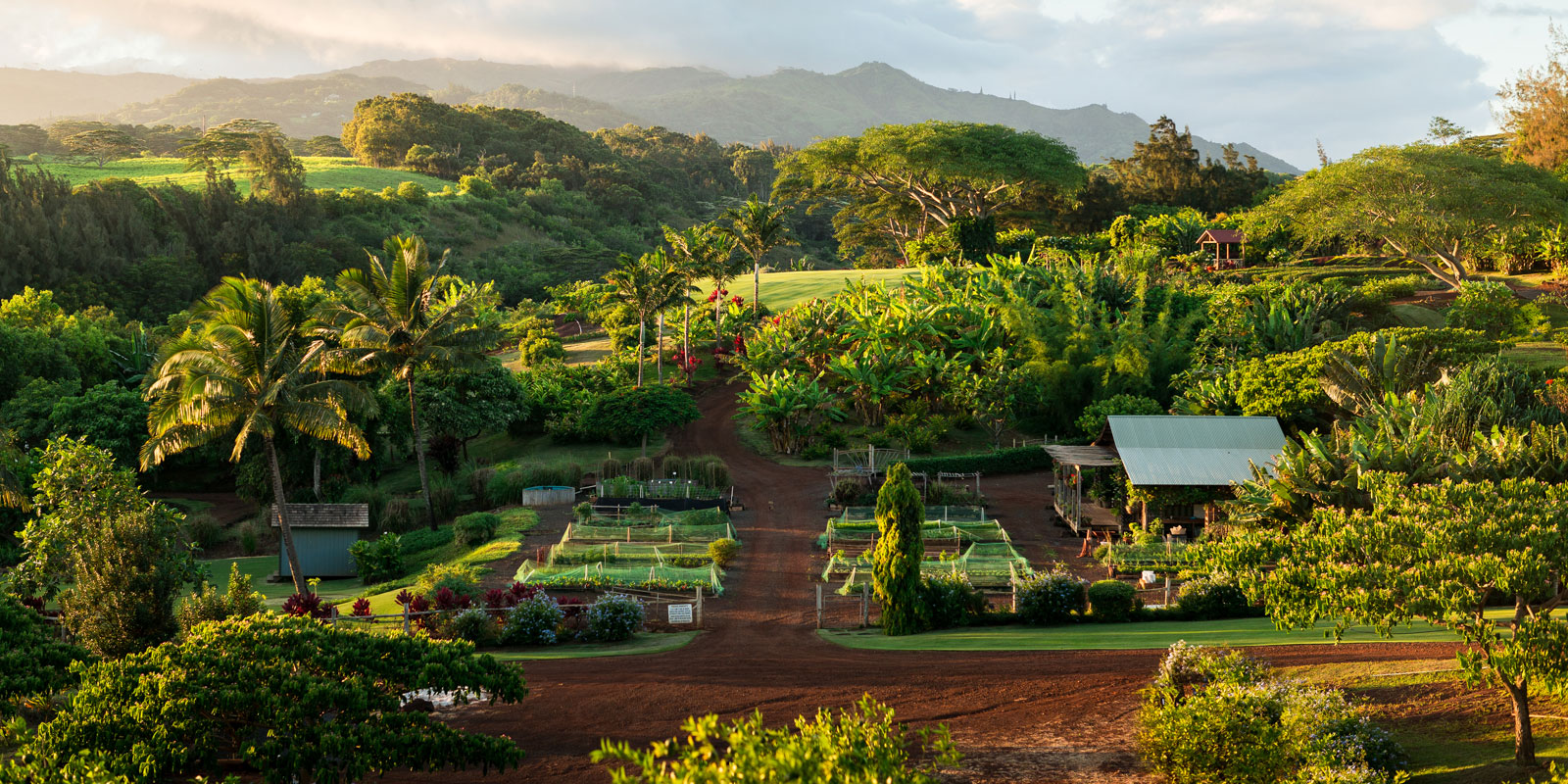 farm-kauai.jpg