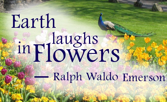 beautiful-flowers-quote-earth-laugh-in-flowers.jpg