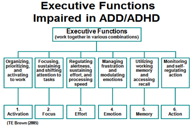 executive-functions-impaired-ADD-ADHD.png