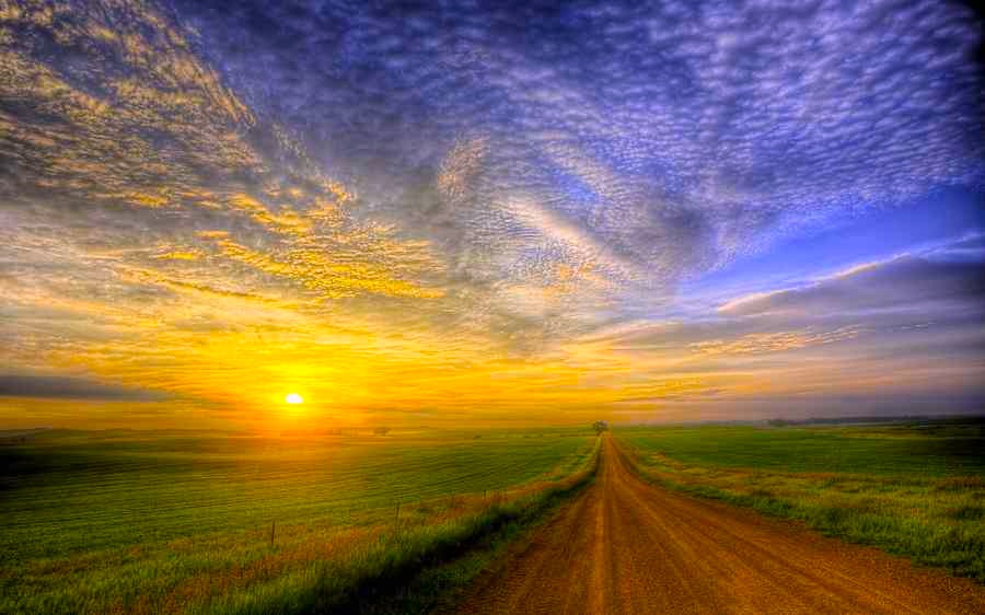 road-into-sunset-copy.jpg