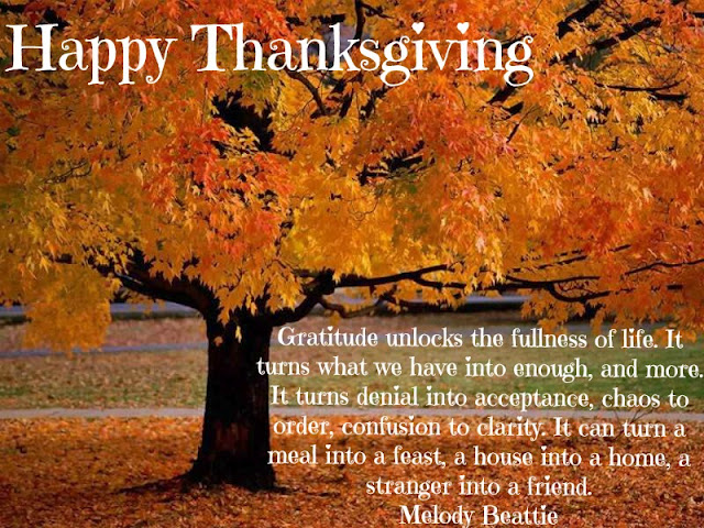 thanksgiving-gratitude.jpg