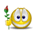 flower :flower: :flower: